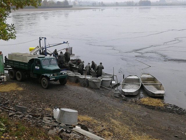 img00006.jpg