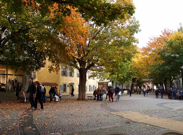 img00016.jpg