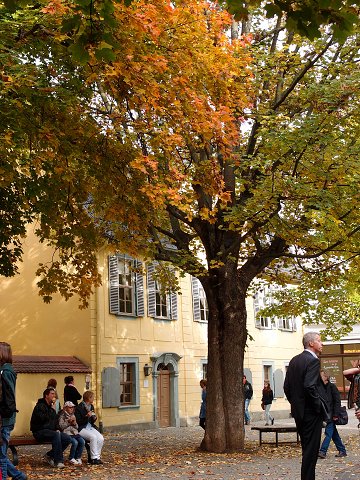 img00017.jpg
