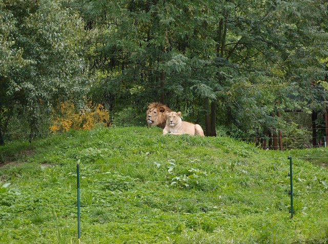 img00002.jpg