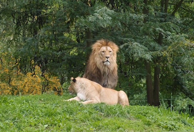 img00003.jpg