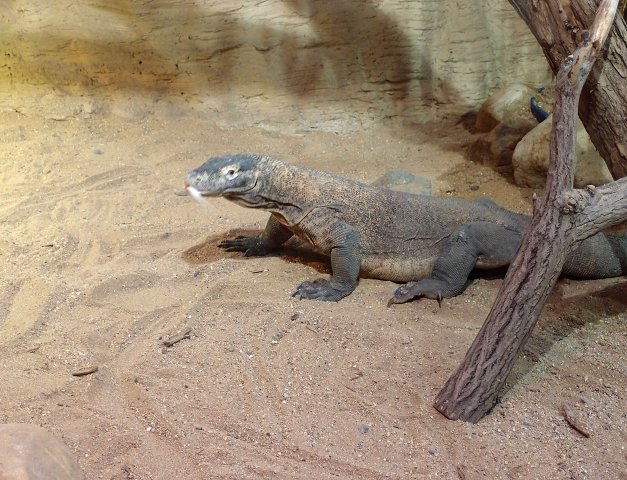 img00007.jpg
