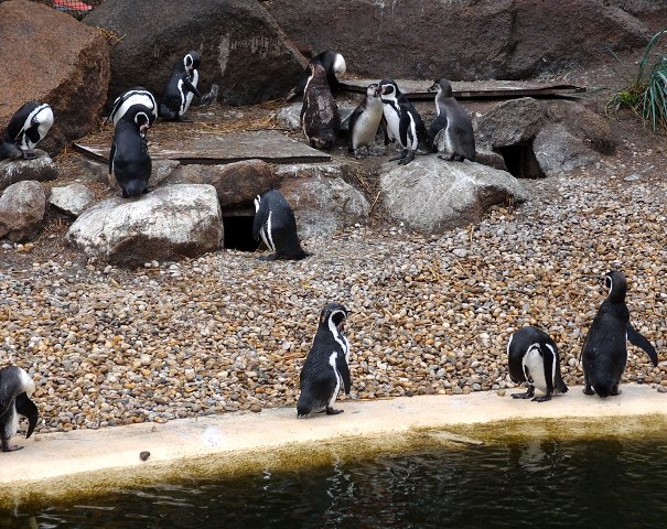 img00012.jpg