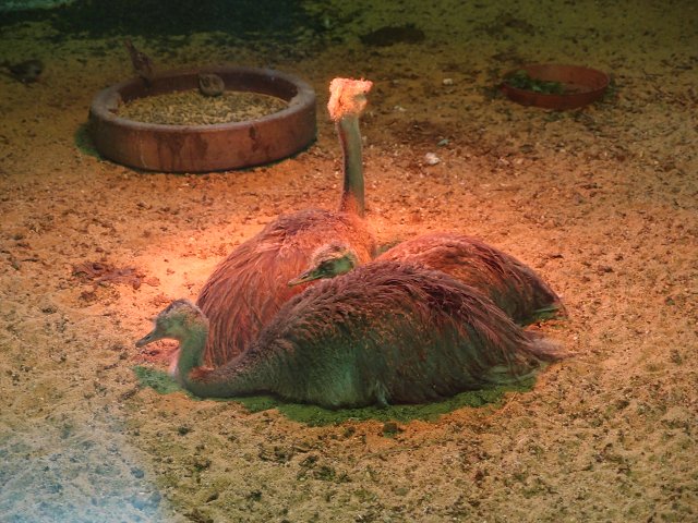 img00021.jpg