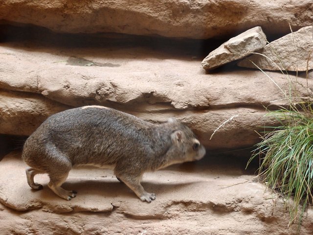 img00025.jpg
