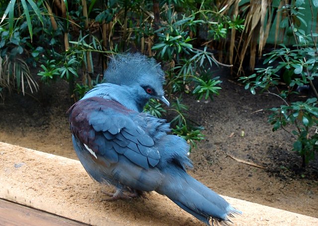 img00027.jpg