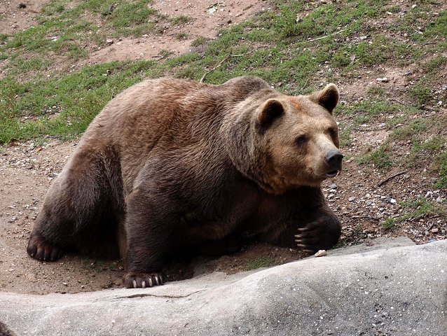 img00042.jpg