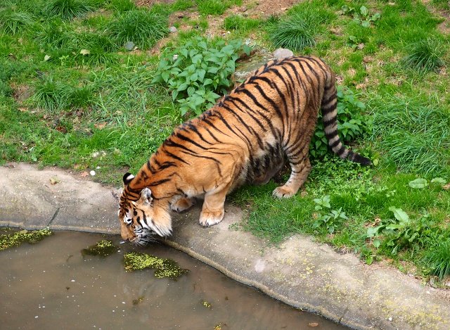 img00049.jpg